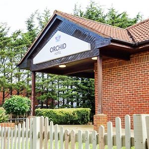 Orchid Epsom; Sure Hotel Collection By Best Western