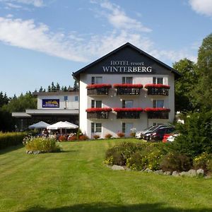 Hotel Winterberg Resort